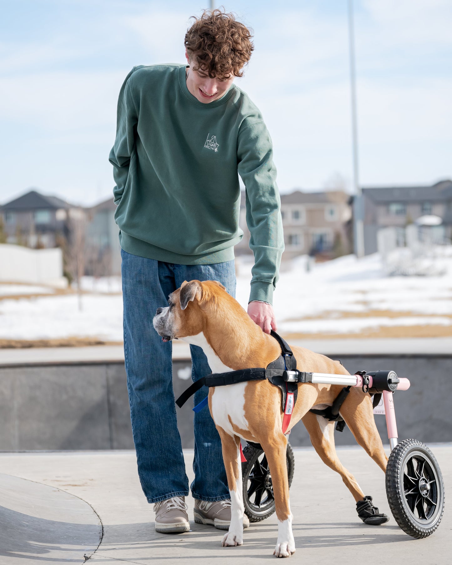 More Than a Best Friend Sweatshirt:  Men's / Unisex Vintage Dye Crewneck Sweatshirt -  ALPINE GREEN  |  River of Resilience Logo