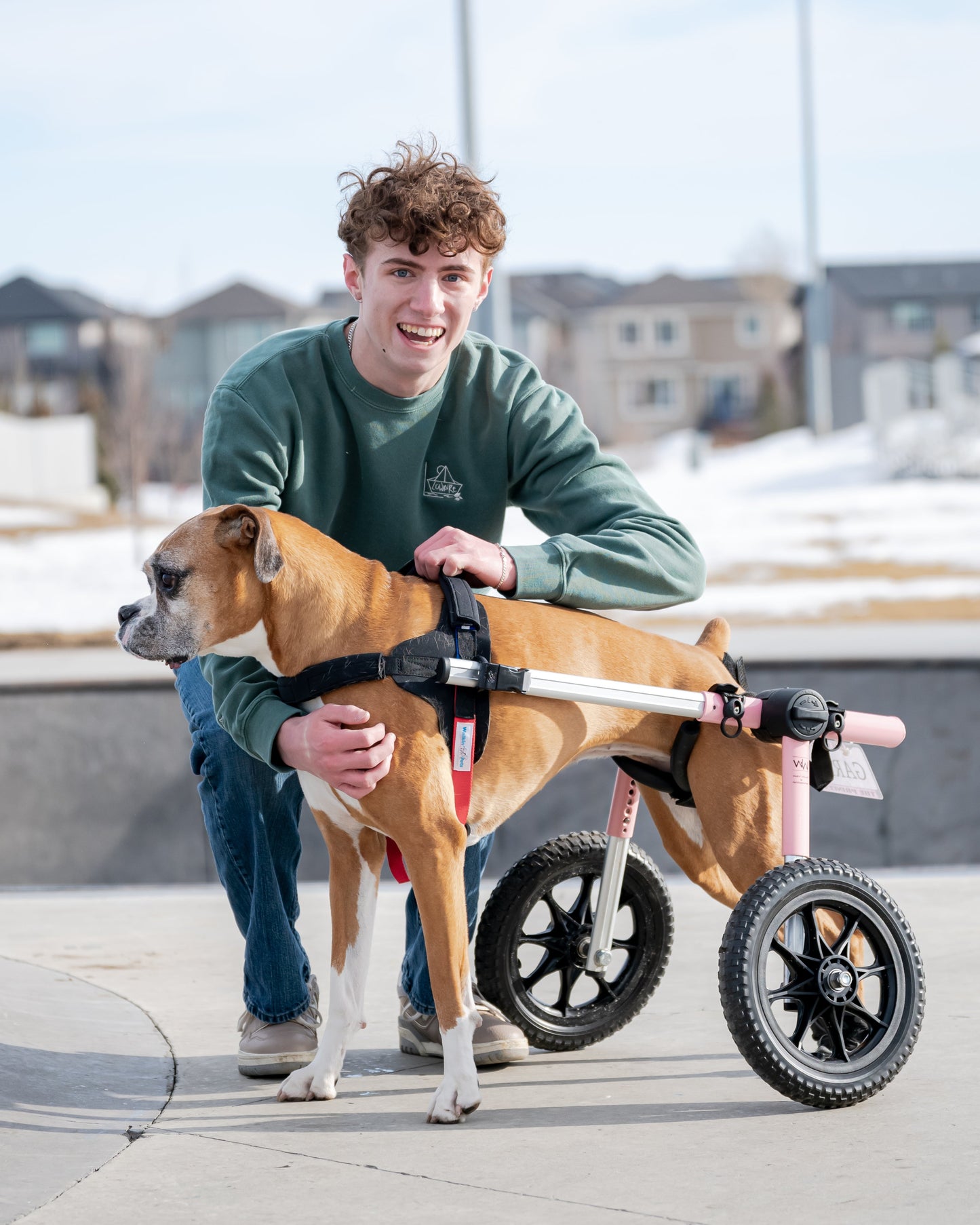 More Than a Best Friend Sweatshirt:  Men's / Unisex Vintage Dye Crewneck Sweatshirt -  ALPINE GREEN  |  River of Resilience Logo