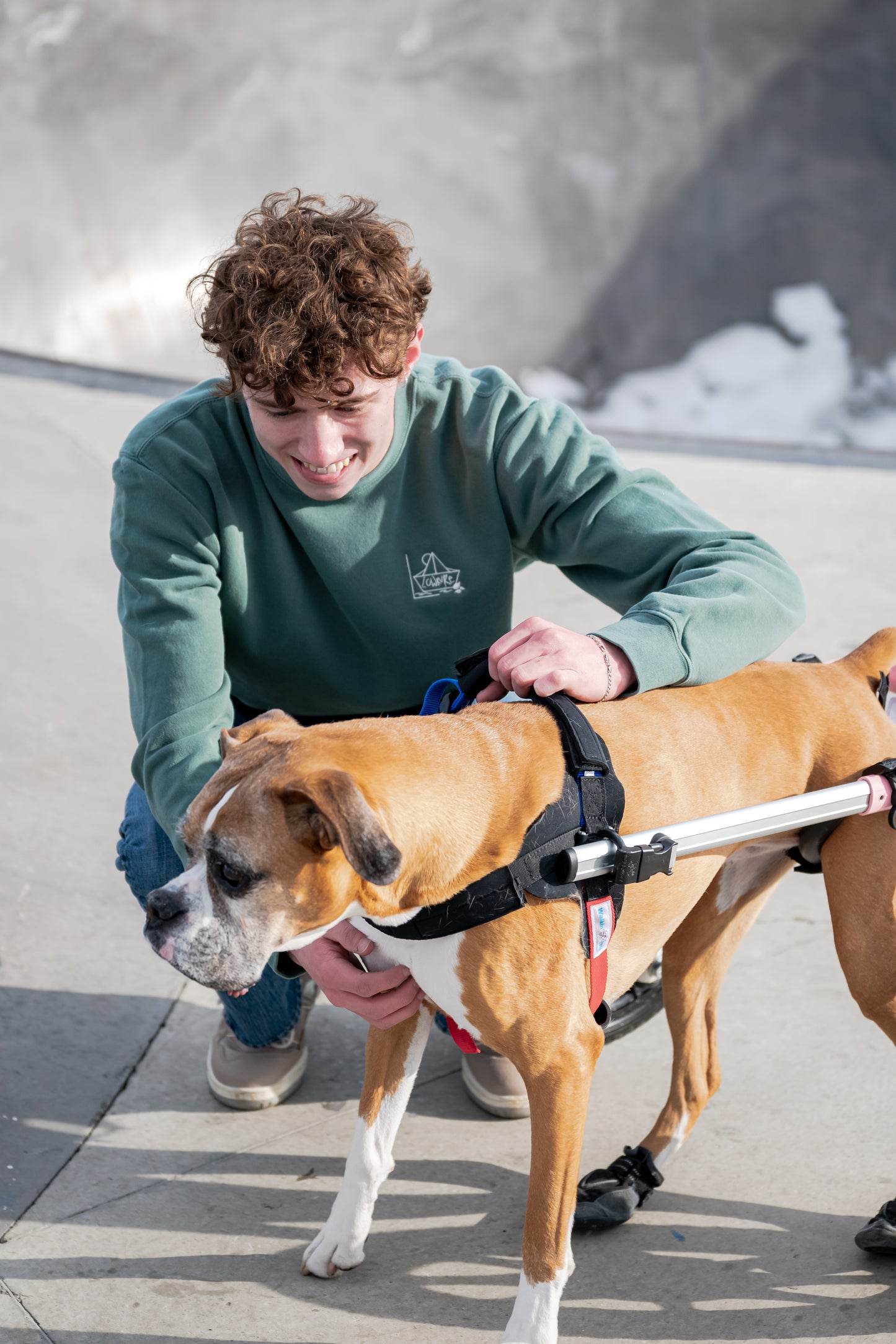 More Than a Best Friend Sweatshirt:  Men's / Unisex Vintage Dye Crewneck Sweatshirt -  ALPINE GREEN  |  River of Resilience Logo