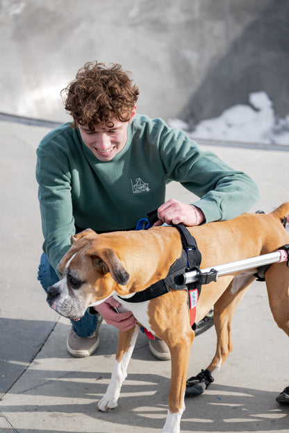 More Than a Best Friend Sweatshirt:  Men's / Unisex Vintage Dye Crewneck Sweatshirt -  ALPINE GREEN  |  River of Resilience Logo