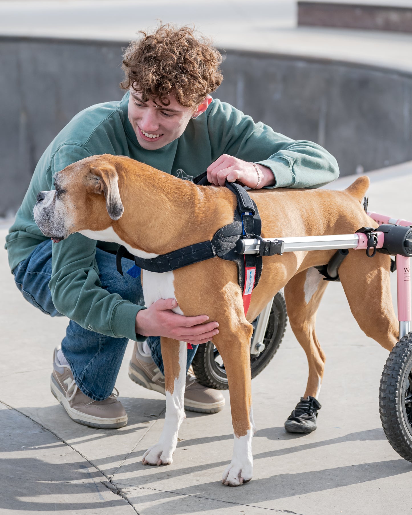 More Than a Best Friend Sweatshirt:  Men's / Unisex Vintage Dye Crewneck Sweatshirt -  ALPINE GREEN  |  River of Resilience Logo