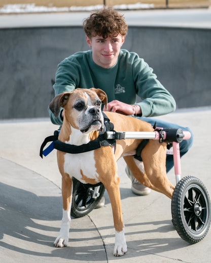 More Than a Best Friend Sweatshirt:  Men's / Unisex Vintage Dye Crewneck Sweatshirt -  ALPINE GREEN  |  River of Resilience Logo
